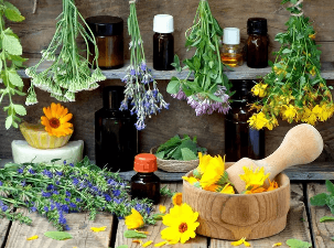 The herbs and tinctures for treatment of prostatitis